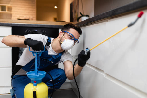 Best Ant Control Services  in Oakwood Hls, IL