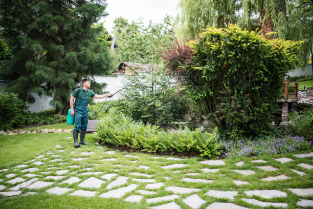 Best Local Pest Control Services  in Oakwood Hls, IL
