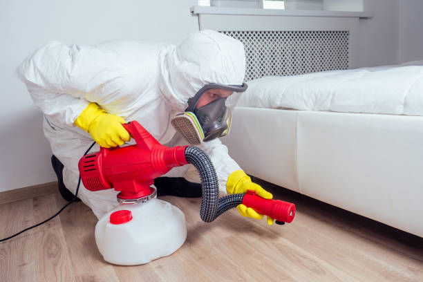 Best Cockroach Control Services  in Oakwood Hls, IL