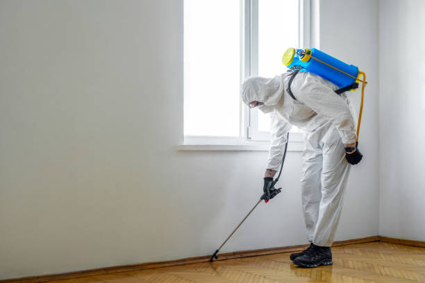 Best Commercial Pest Control Services  in Oakwood Hls, IL