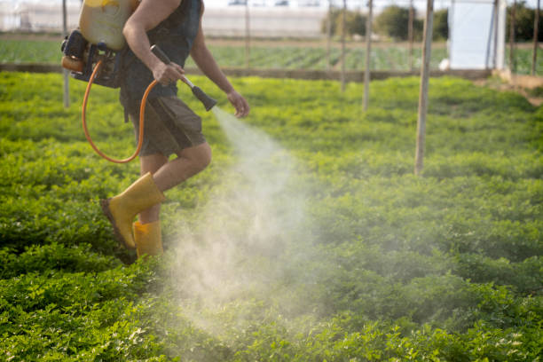 Professional Pest Control in Oakwood Hills, IL