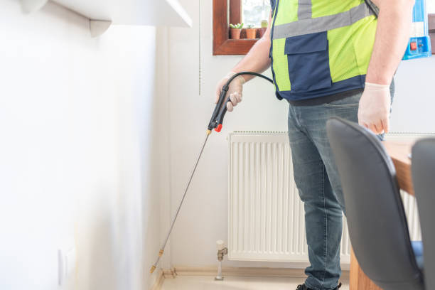 Best Rat Extermination Near Me  in Oakwood Hls, IL