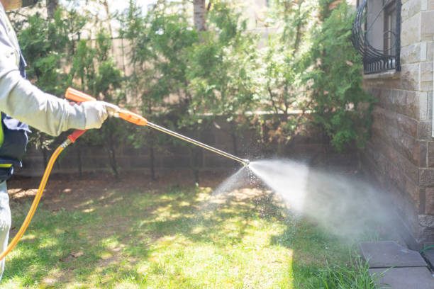 Best Bird Control  in Oakwood Hls, IL
