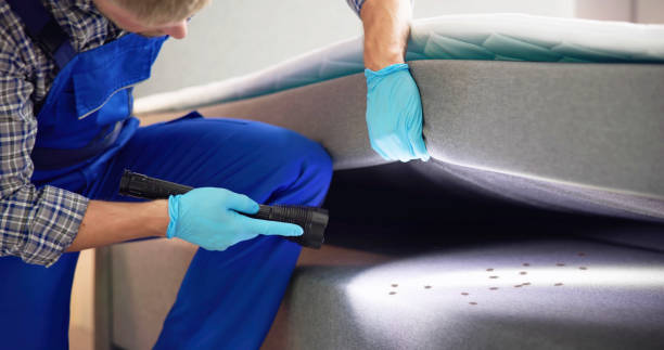 Wasp Removal Services in Oakwood Hills, IL