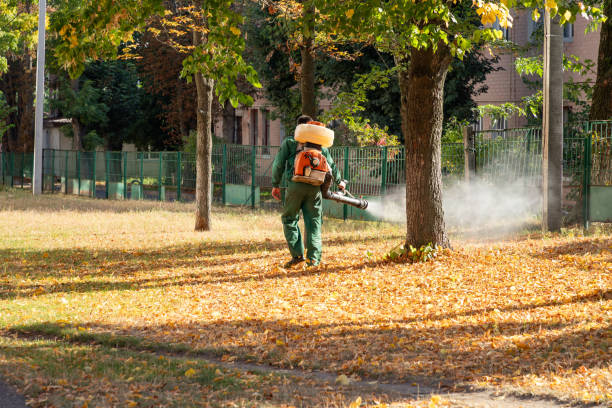 Pest Prevention Services in Oakwood Hills, IL