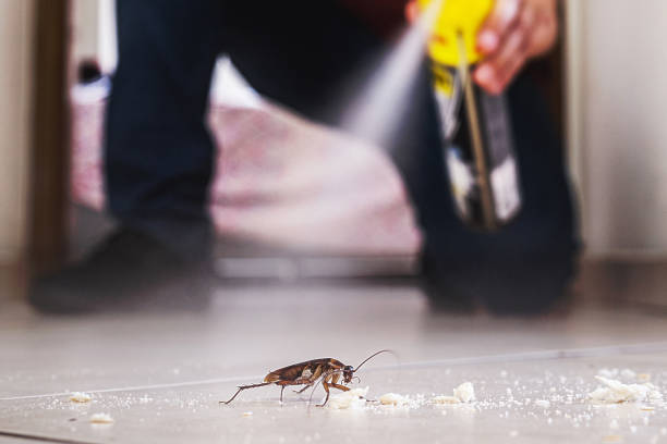 Best Pest Prevention Services  in Oakwood Hls, IL