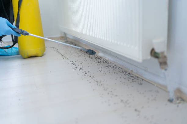 Best Best Pest Control Companies  in Oakwood Hls, IL
