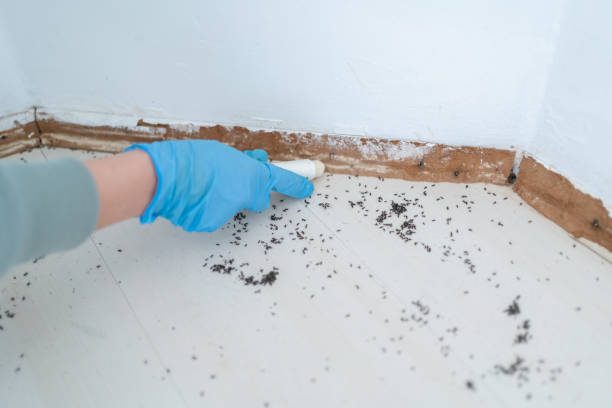 Best Residential Pest Control  in Oakwood Hls, IL