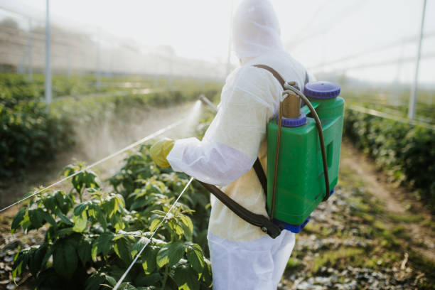 Best Best Pest Control Companies  in Oakwood Hls, IL